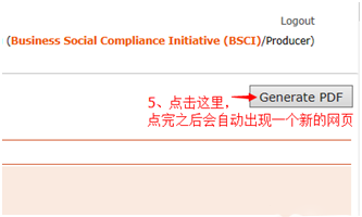 BSCI完整報告